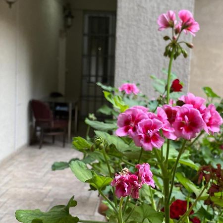 Hotel Blissdom Τυφλίδα Εξωτερικό φωτογραφία